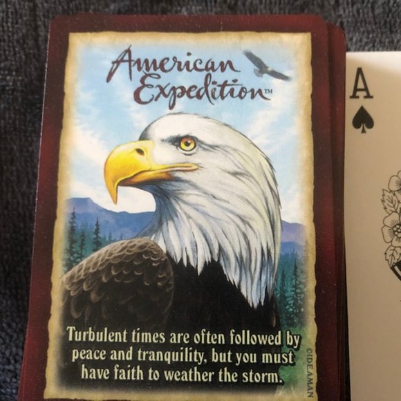 Deck of Playing Cards Bald Eagle Endangered Species Wildlife Bundle Price - Picture 2 of 4